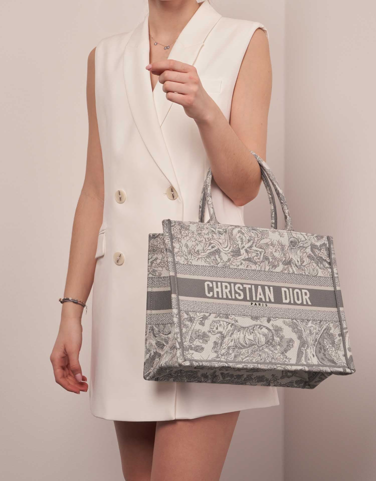 Christian dior discount medium book tote