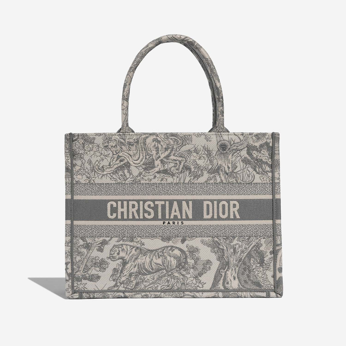Dior Book Tote Medium Canvas Bag