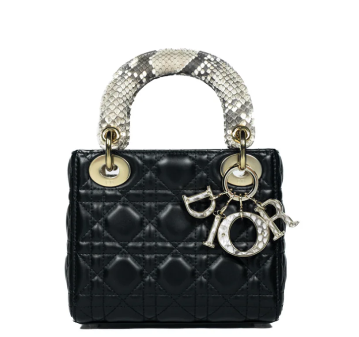 Dior Mini Lady Bag