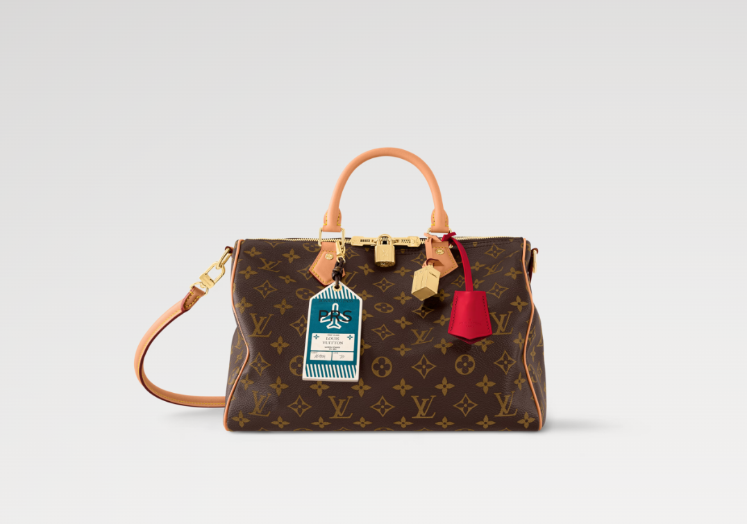 LV Speedy Soft 30 Crafty