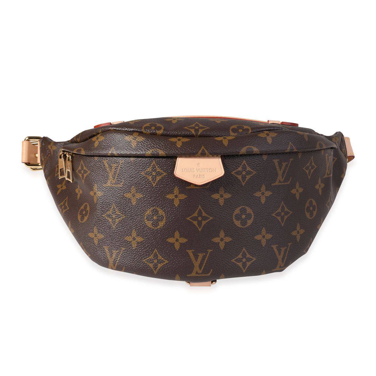 Louis Vuitton Monogram Canvas Waist Bumbag