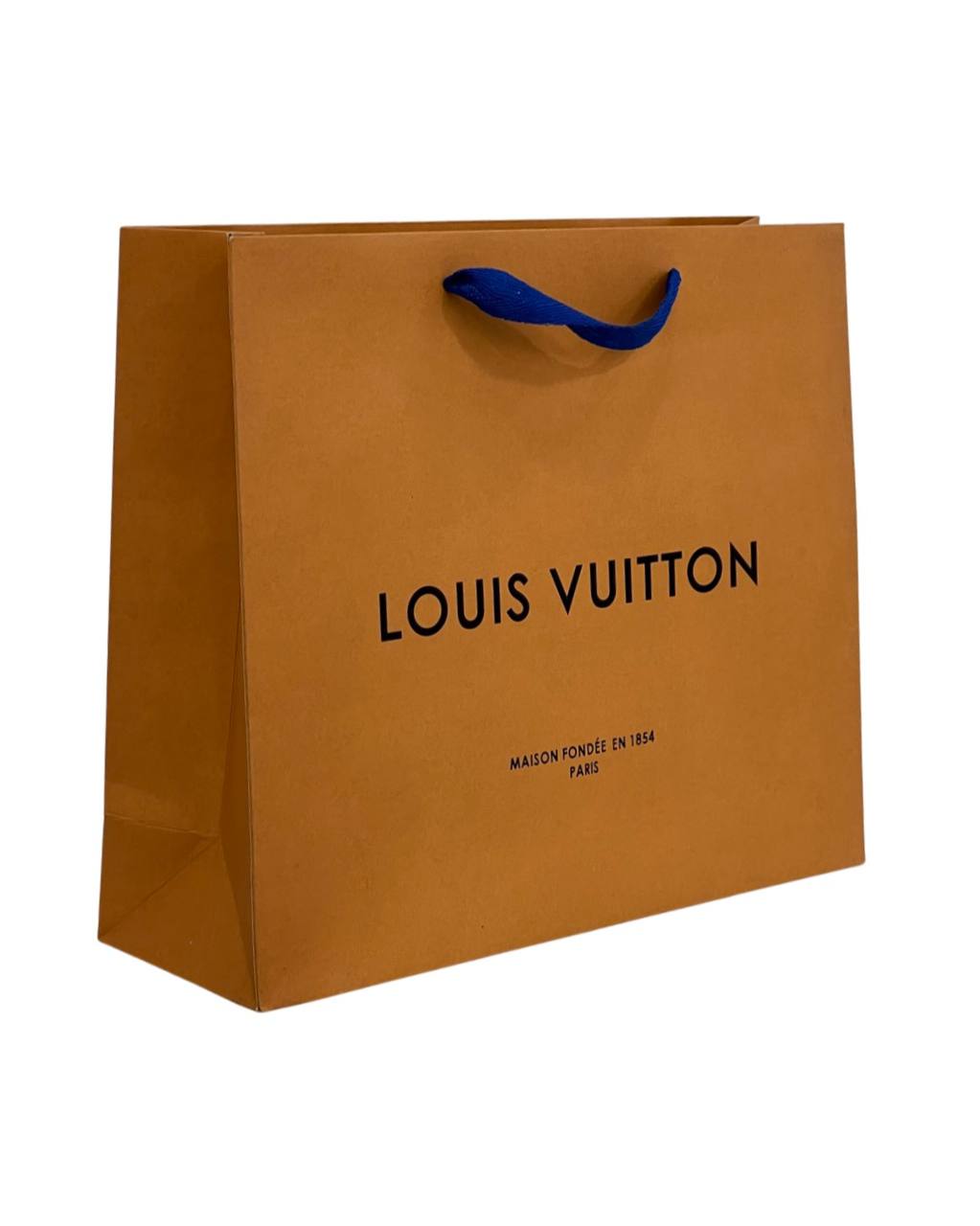 Louis Vuitton Paper Tote Bags
