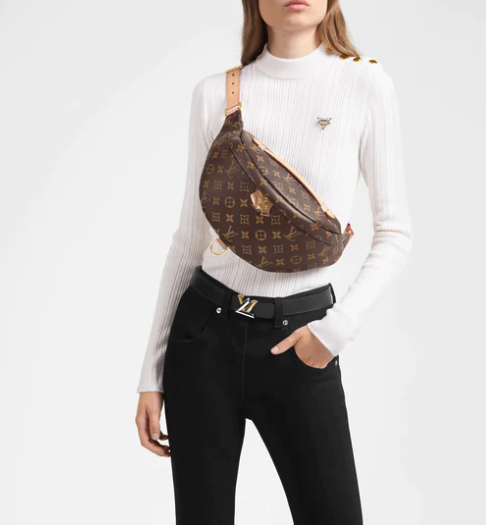 Louis Vuitton Monogram Canvas Waist Bumbag