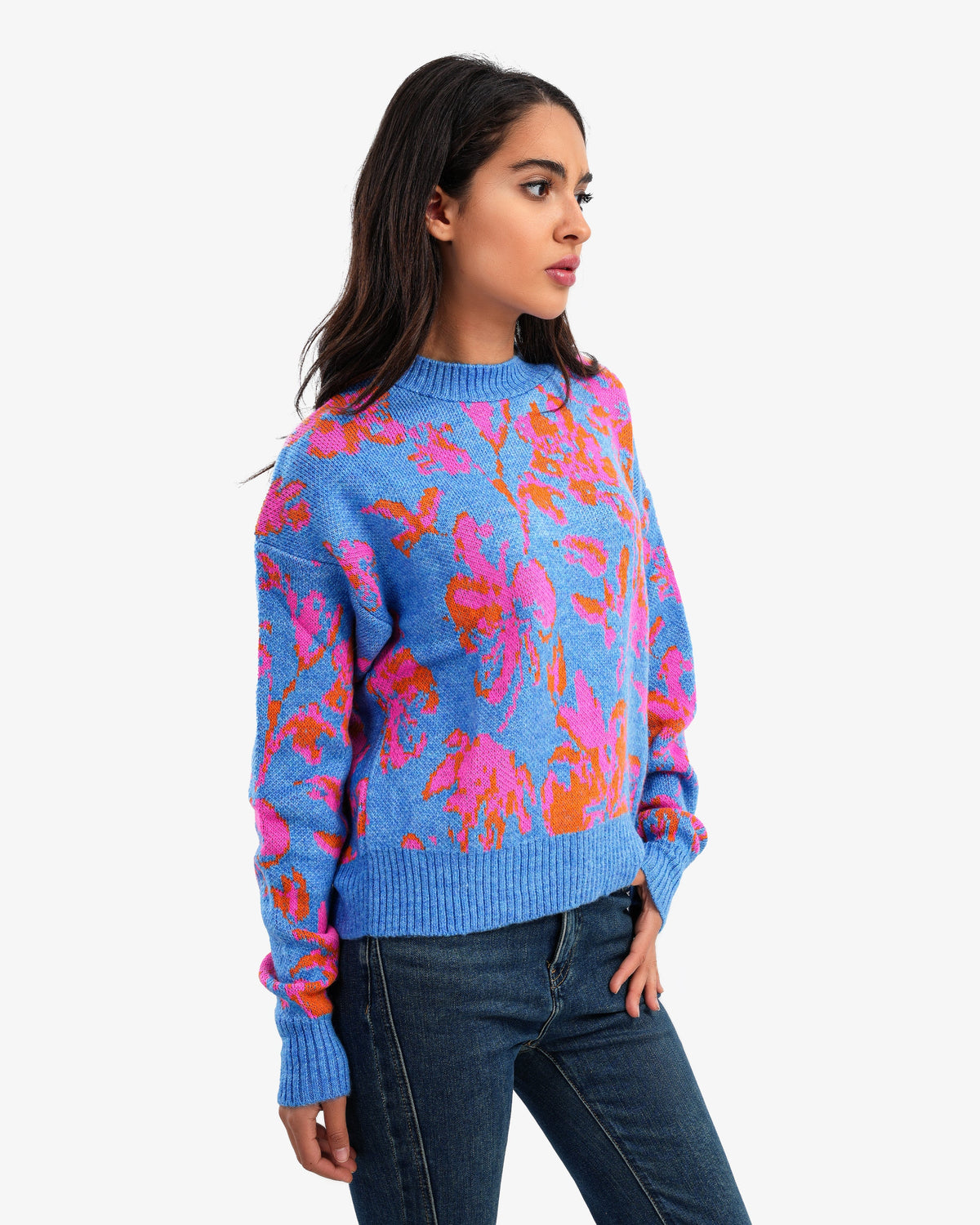 Women's Patterned Crew Neck Knitted Sweater