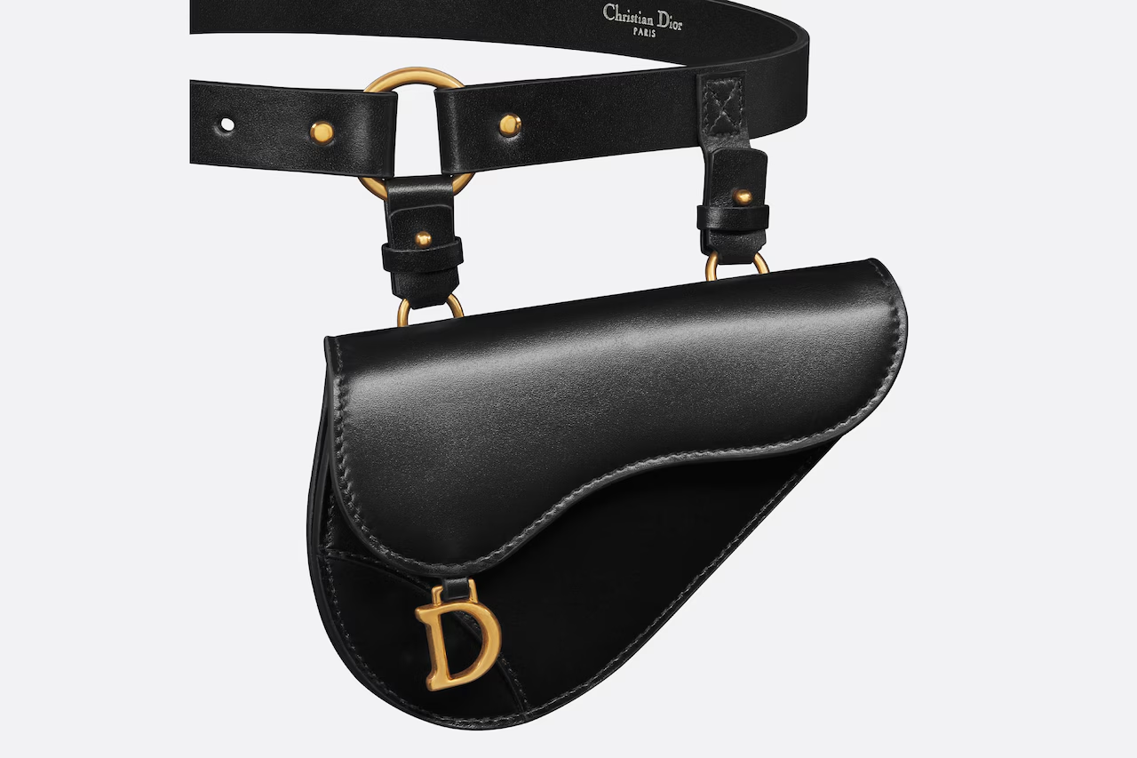 Dior Saddle Removable Pouch Belt