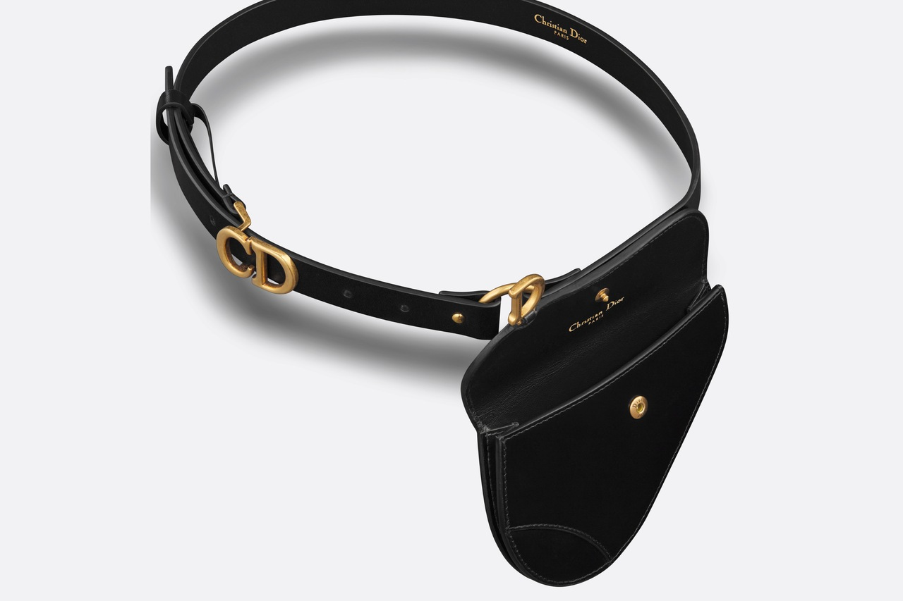 Dior Saddle Removable Pouch Belt - Main Image