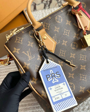 Louis Vuitton Speedy Soft 30 Crafty