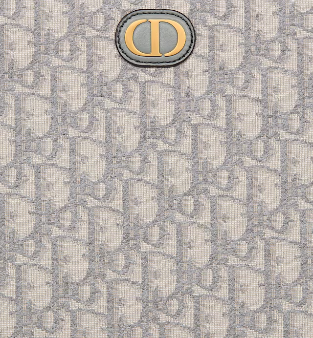 Gray Dior Oblique Jacquard 30 Montaigne Dea Pouch