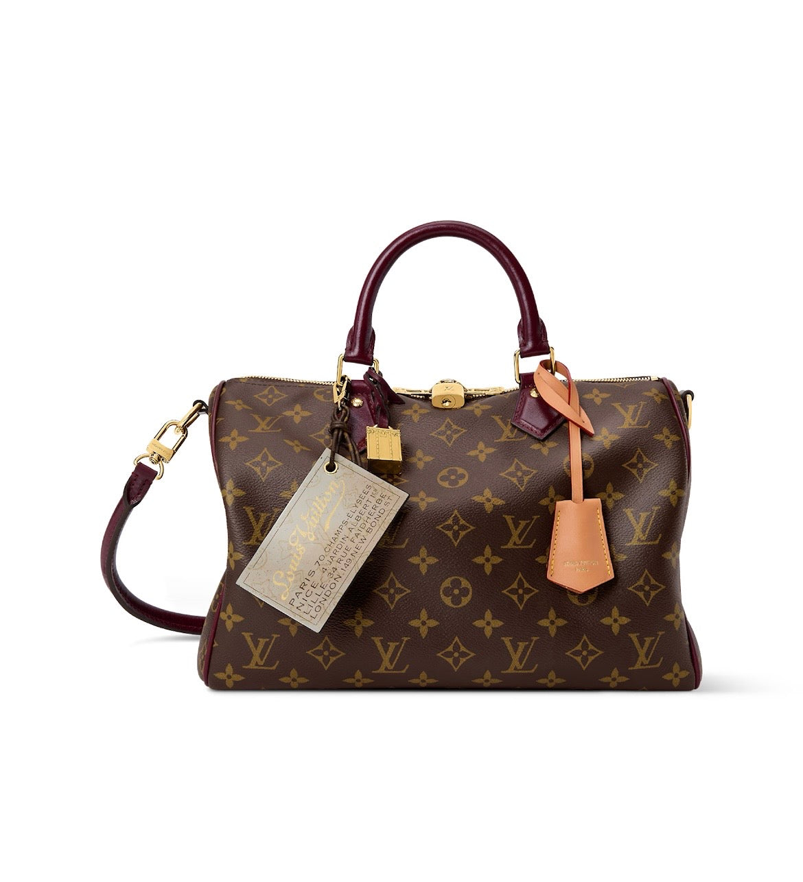 Louis Vuitton Speedy 30 Soft Celebration
