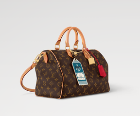 LV Speedy Soft 30 Crafty