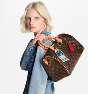 LV Speedy Soft 30 Crafty