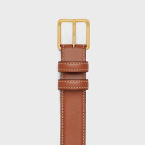 CELINE BELT BAG TRIOMPHE BELT in TRIOMPHE CANVAS AND CALFSKIN