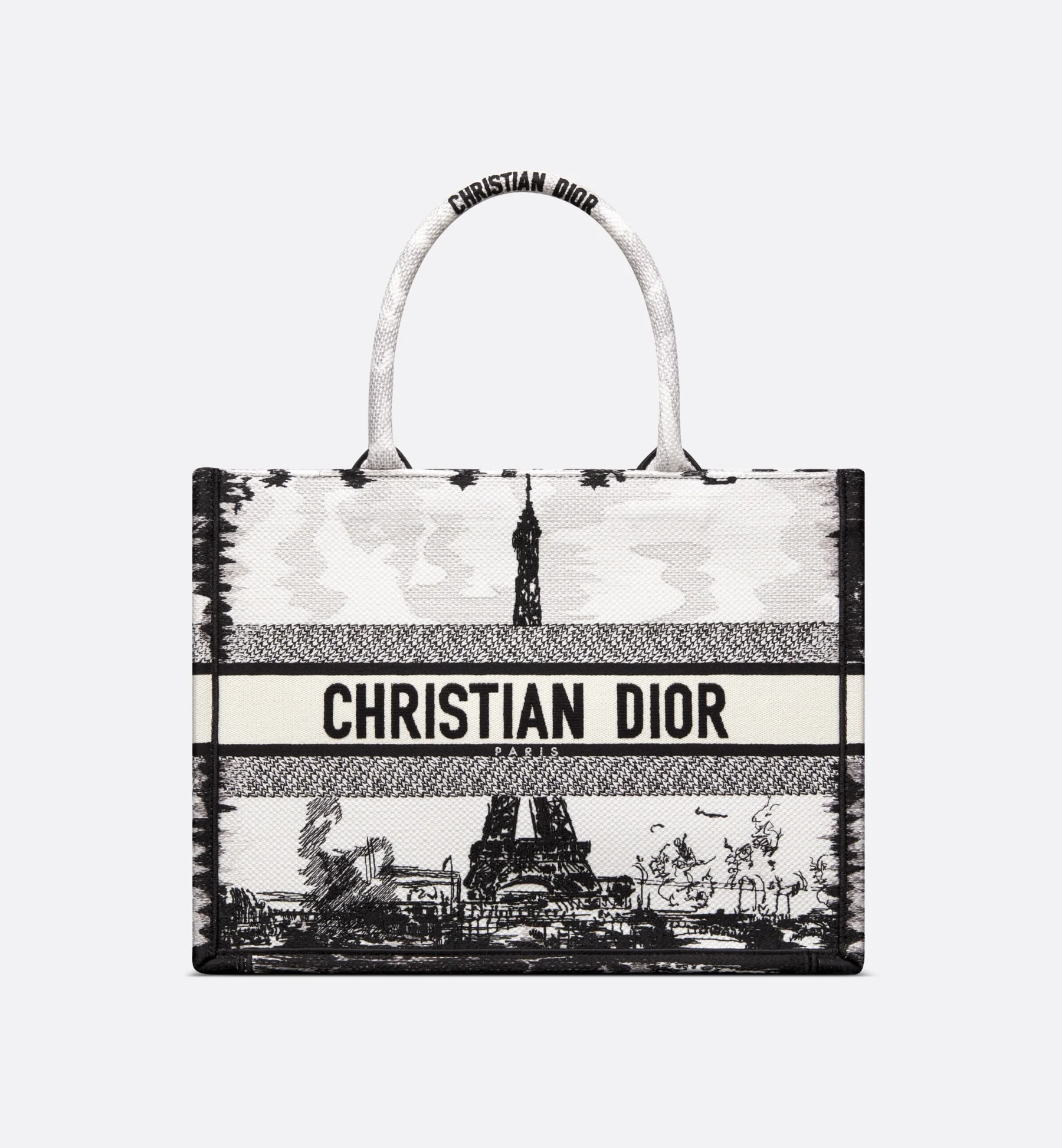 Medium Dior Book Tote Bag