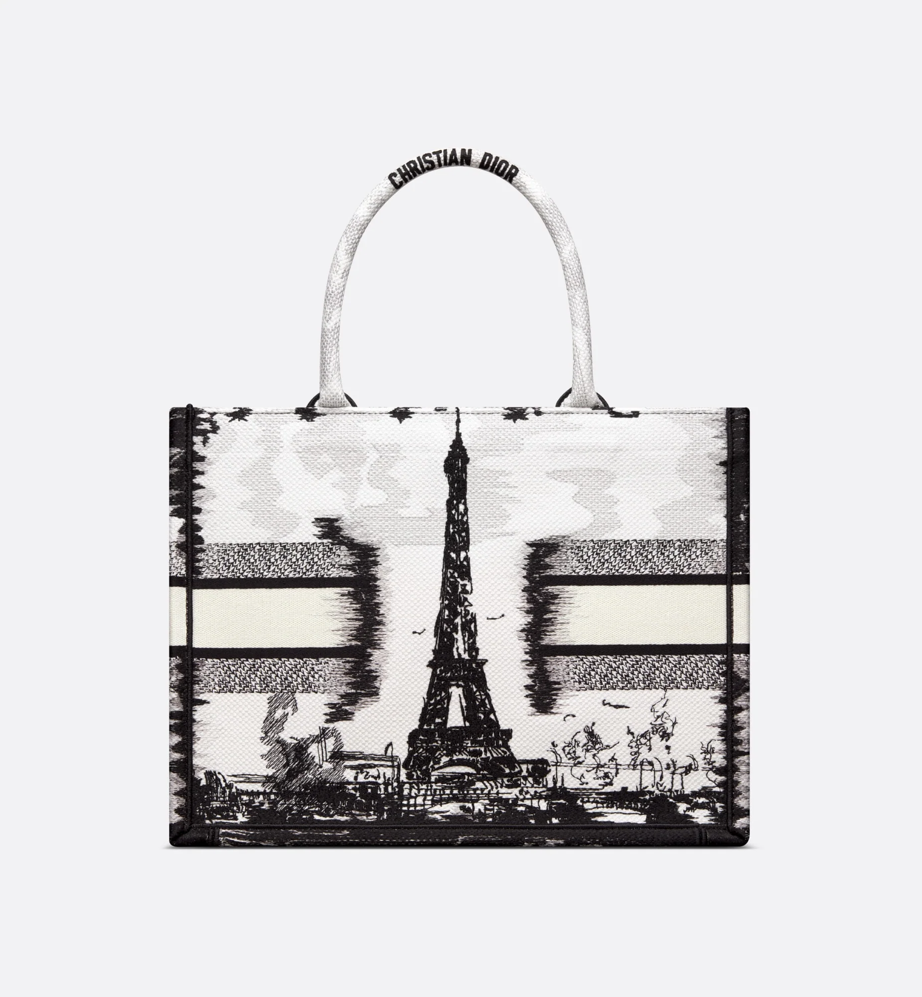 Medium Dior Book Tote Bag