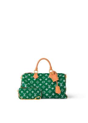 LV Speedy Handbag