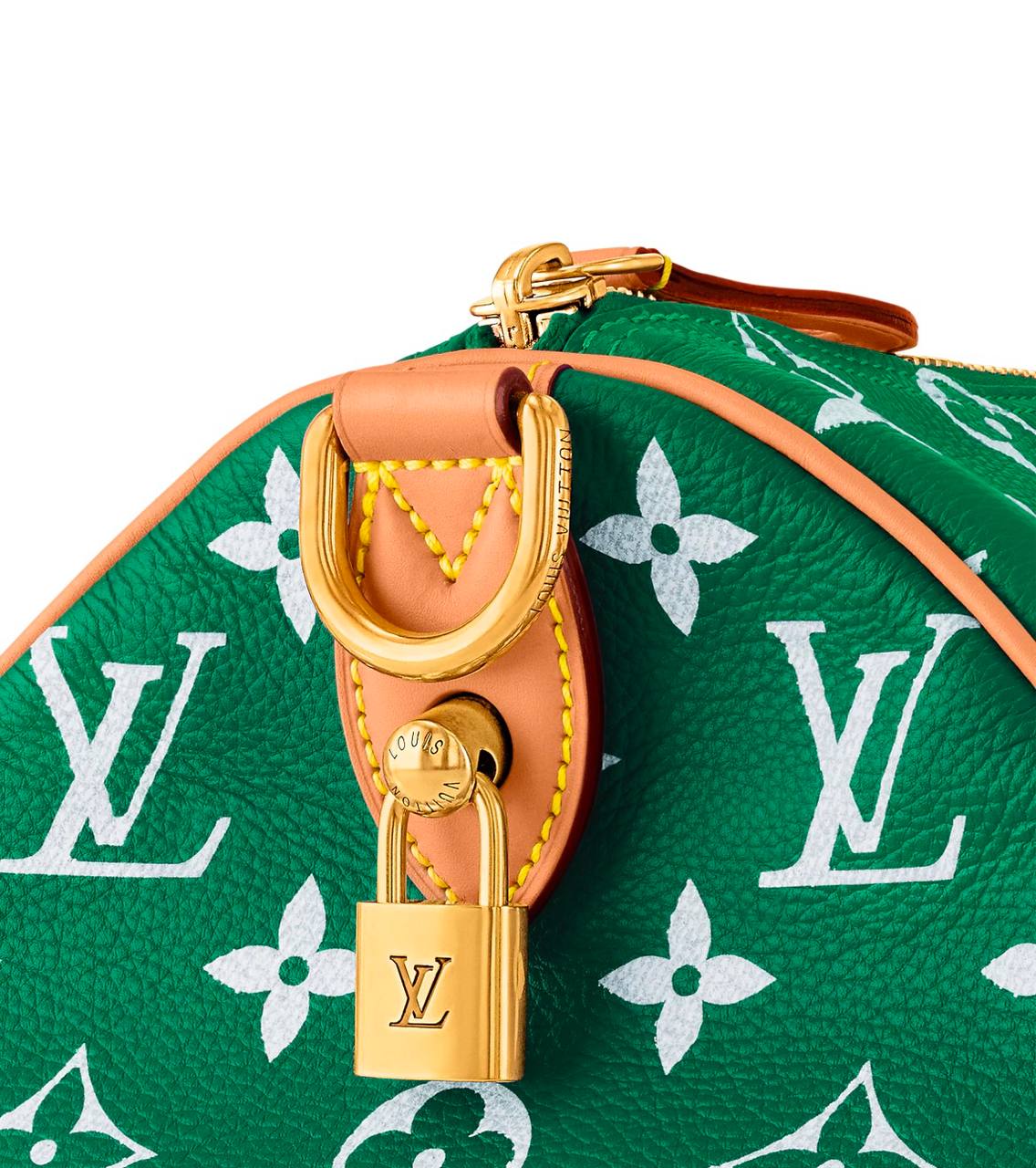 LV Speedy Handbag