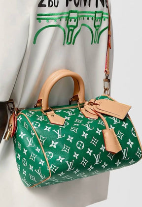 LV Speedy Handbag