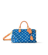 LV Speedy Handbag