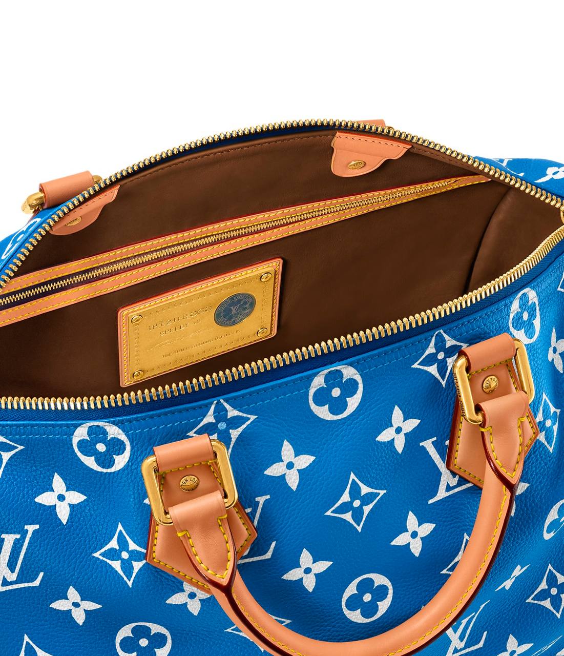 LV Speedy Handbag