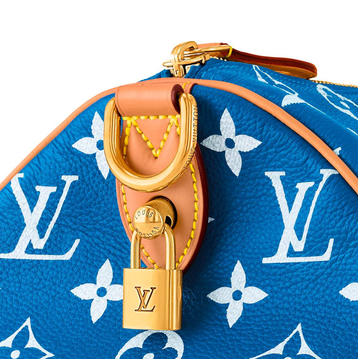 LV Speedy Handbag