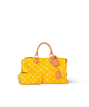 LV Speedy Handbag