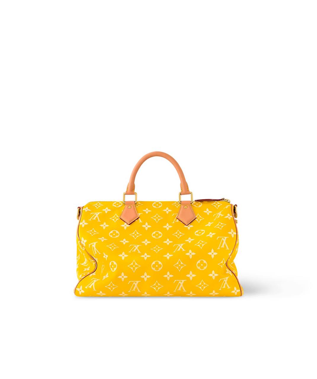 LV Speedy Handbag