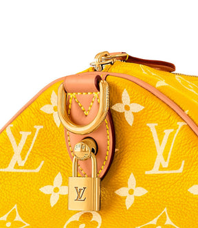 LV Speedy Handbag