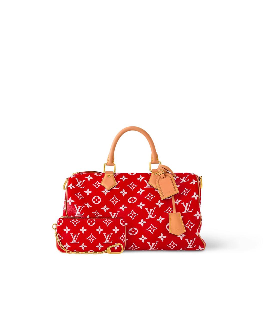 LV Speedy Handbag