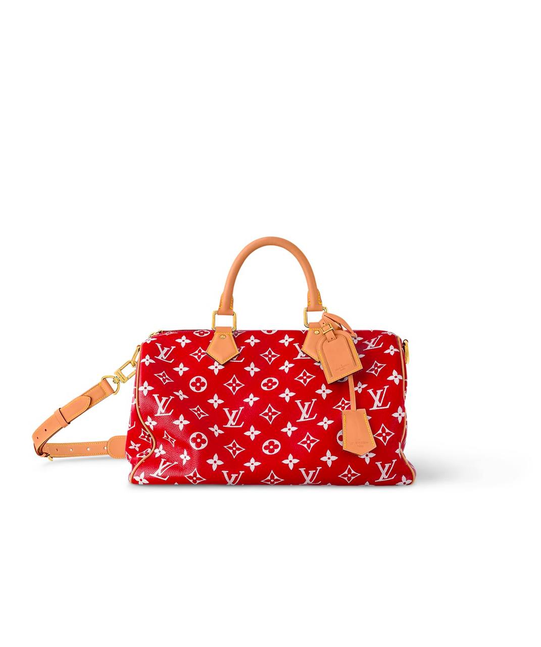 LV Speedy Handbag