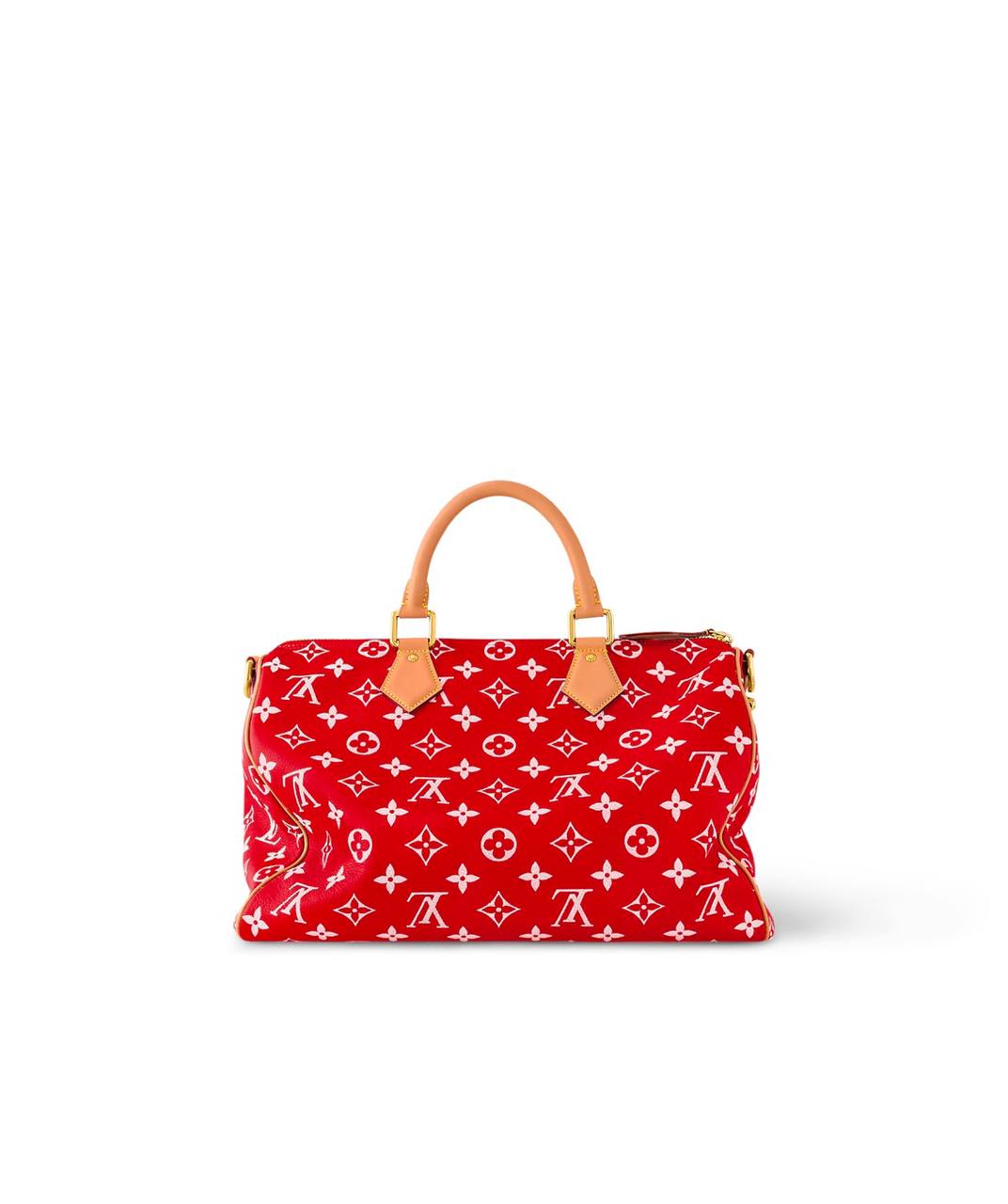 LV Speedy Handbag