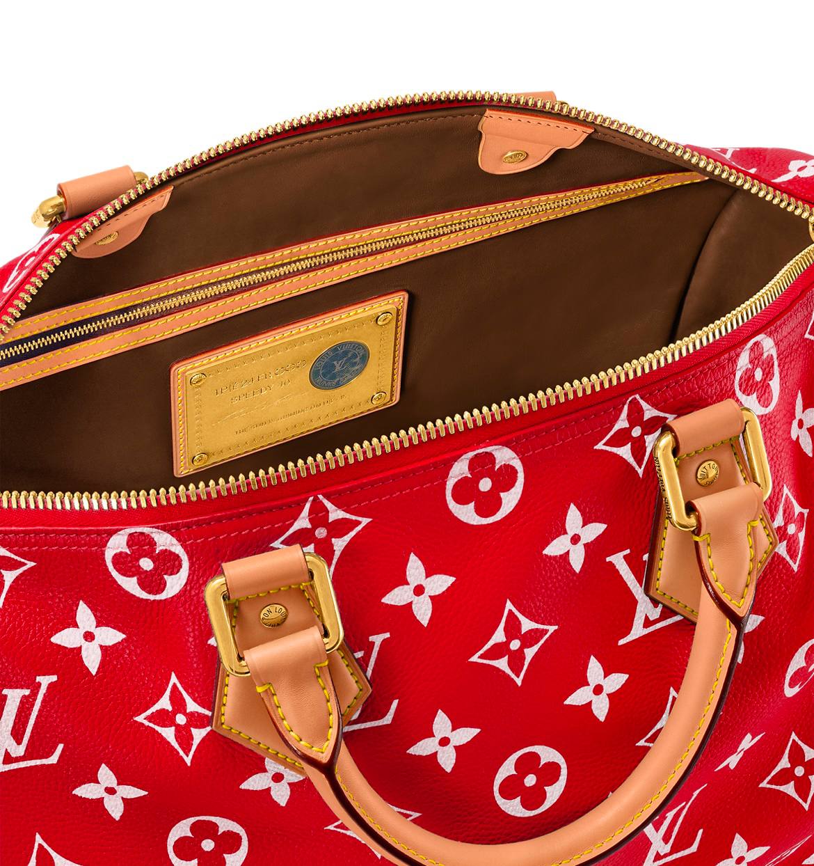 LV Speedy Handbag