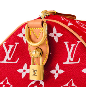 LV Speedy Handbag