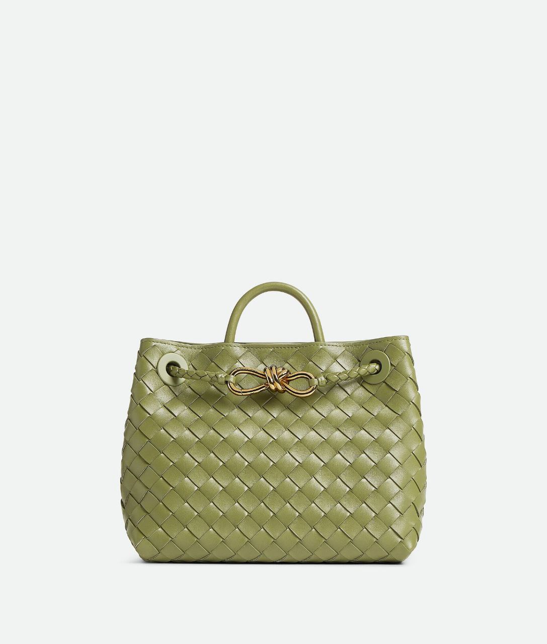 Bottega Veneta Small Andiamo Bag